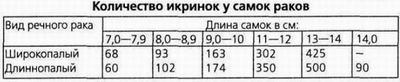 Количество икринок у самок раков