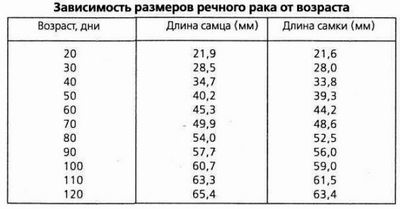 Зависимость размеров речного рака от возраста