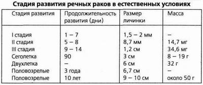 Стадии развития речных раков